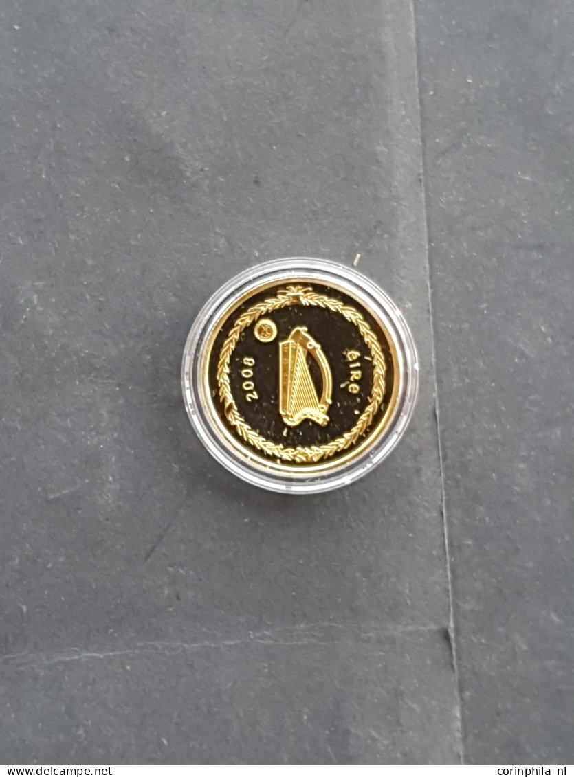 Ireland 100 Euro 2008 - International Polar Year – Gold 15.5gr. 0.999 – Proof In Capsule In Small Box  - Sonstige & Ohne Zuordnung