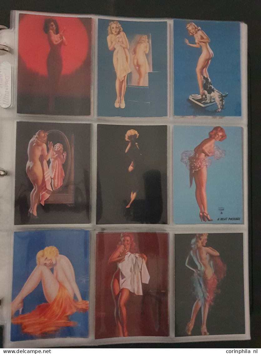 Collection Pin Up Girls Collector Cards Including Playboy, Vampirella Etc., Large Number Of Cards  in 2 Albums In Box - Autres & Non Classés