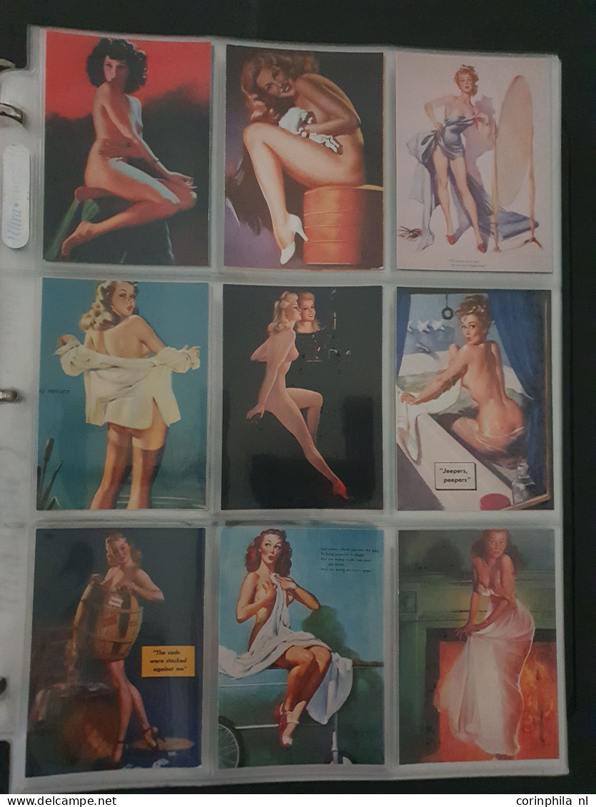 Collection Pin Up Girls Collector Cards Including Playboy, Vampirella Etc., Large Number Of Cards  in 2 Albums In Box - Other & Unclassified