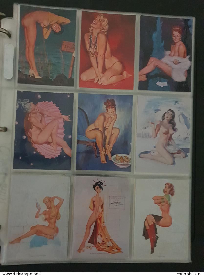 Collection Pin Up Girls Collector Cards Including Playboy, Vampirella Etc., Large Number Of Cards  in 2 Albums In Box - Otros & Sin Clasificación