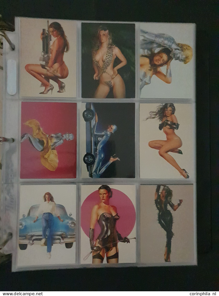 collection Pin Up girls collector cards including Playboy, Vampirella etc., large number of cards  in 2 albums in box