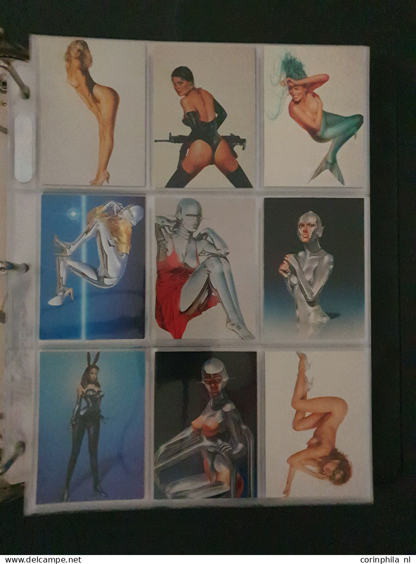 collection Pin Up girls collector cards including Playboy, Vampirella etc., large number of cards  in 2 albums in box