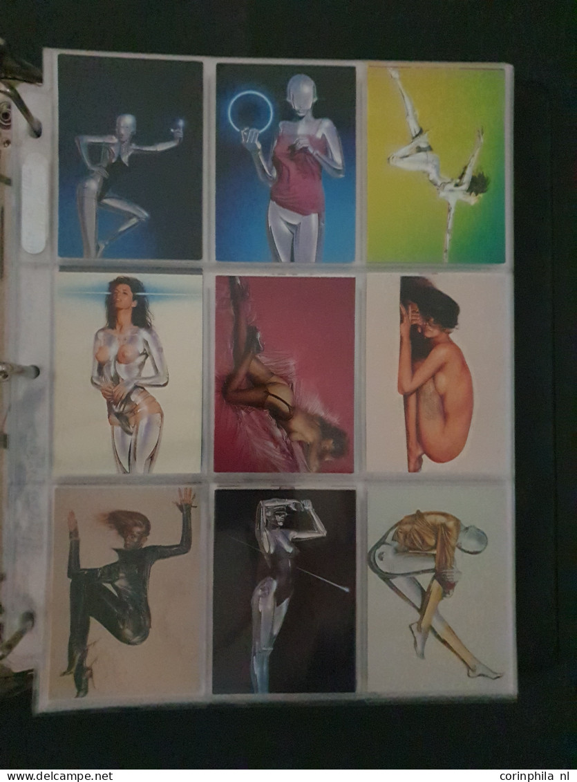 collection Pin Up girls collector cards including Playboy, Vampirella etc., large number of cards  in 2 albums in box