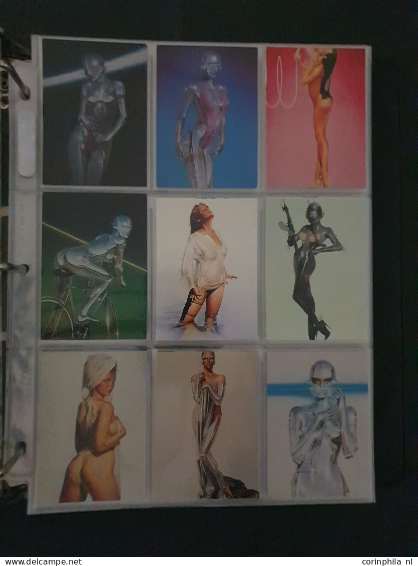 collection Pin Up girls collector cards including Playboy, Vampirella etc., large number of cards  in 2 albums in box