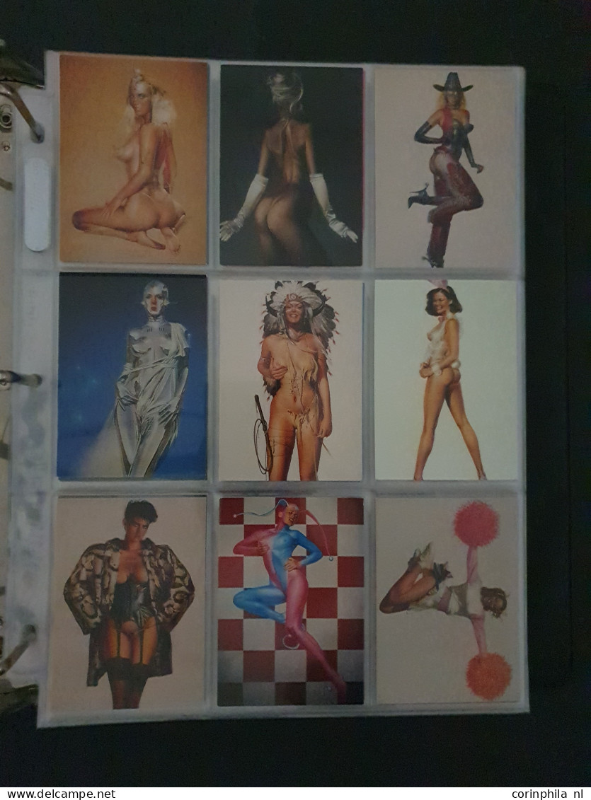 collection Pin Up girls collector cards including Playboy, Vampirella etc., large number of cards  in 2 albums in box