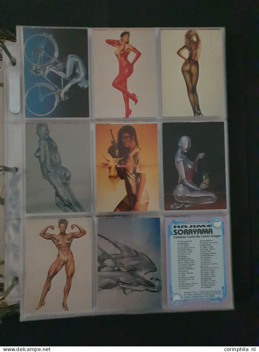 collection Pin Up girls collector cards including Playboy, Vampirella etc., large number of cards  in 2 albums in box