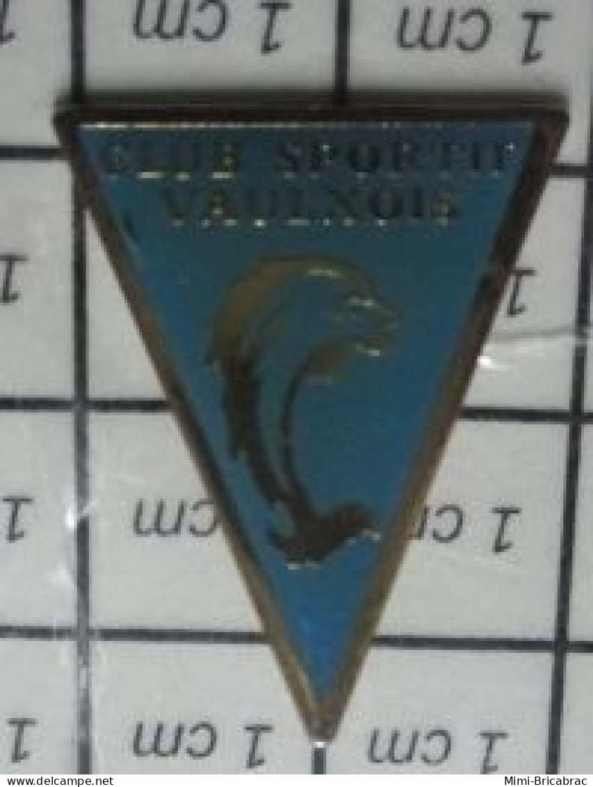 713L Pin's Pins / Beau Et Rare / SPORTS / DAUPHIN NATATION CLUB NAUTIQUE VAULXOIS - Swimming