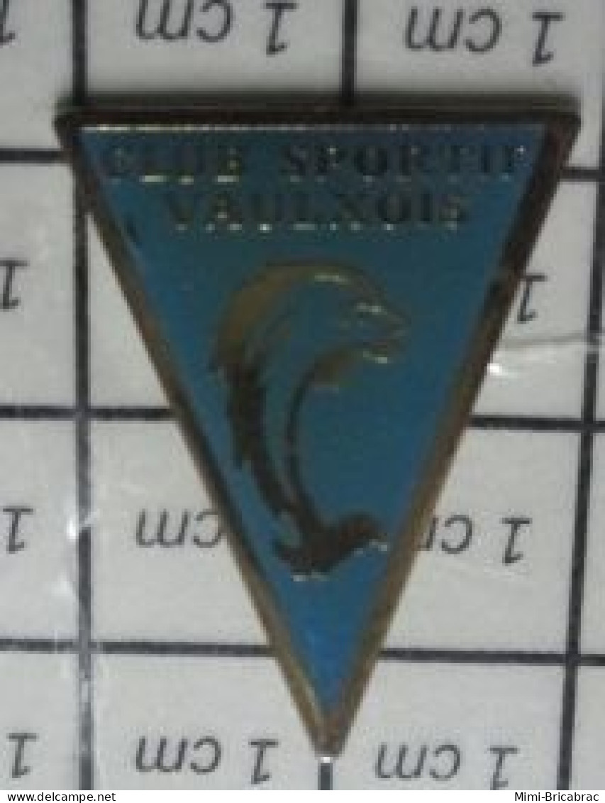 713L Pin's Pins / Beau Et Rare / SPORTS / DAUPHIN NATATION CLUB NAUTIQUE VAULXOIS - Zwemmen