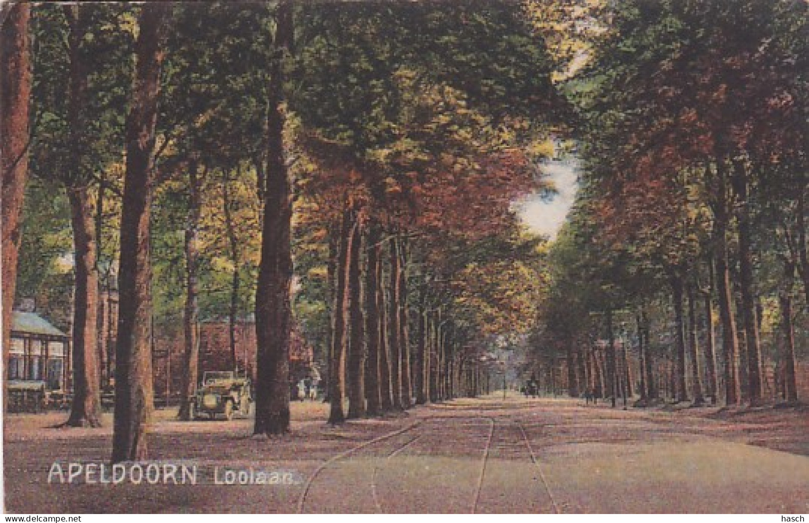 260542Apeldoorn, Loolaan – 1920 (zie Hoeken) - Apeldoorn