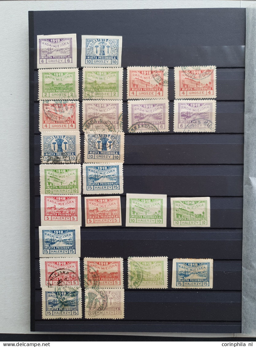 1917-1918, Local Post Przedborz, Collection Used And * Including Imperforated On 2 Stock Pages In Folder - Other & Unclassified