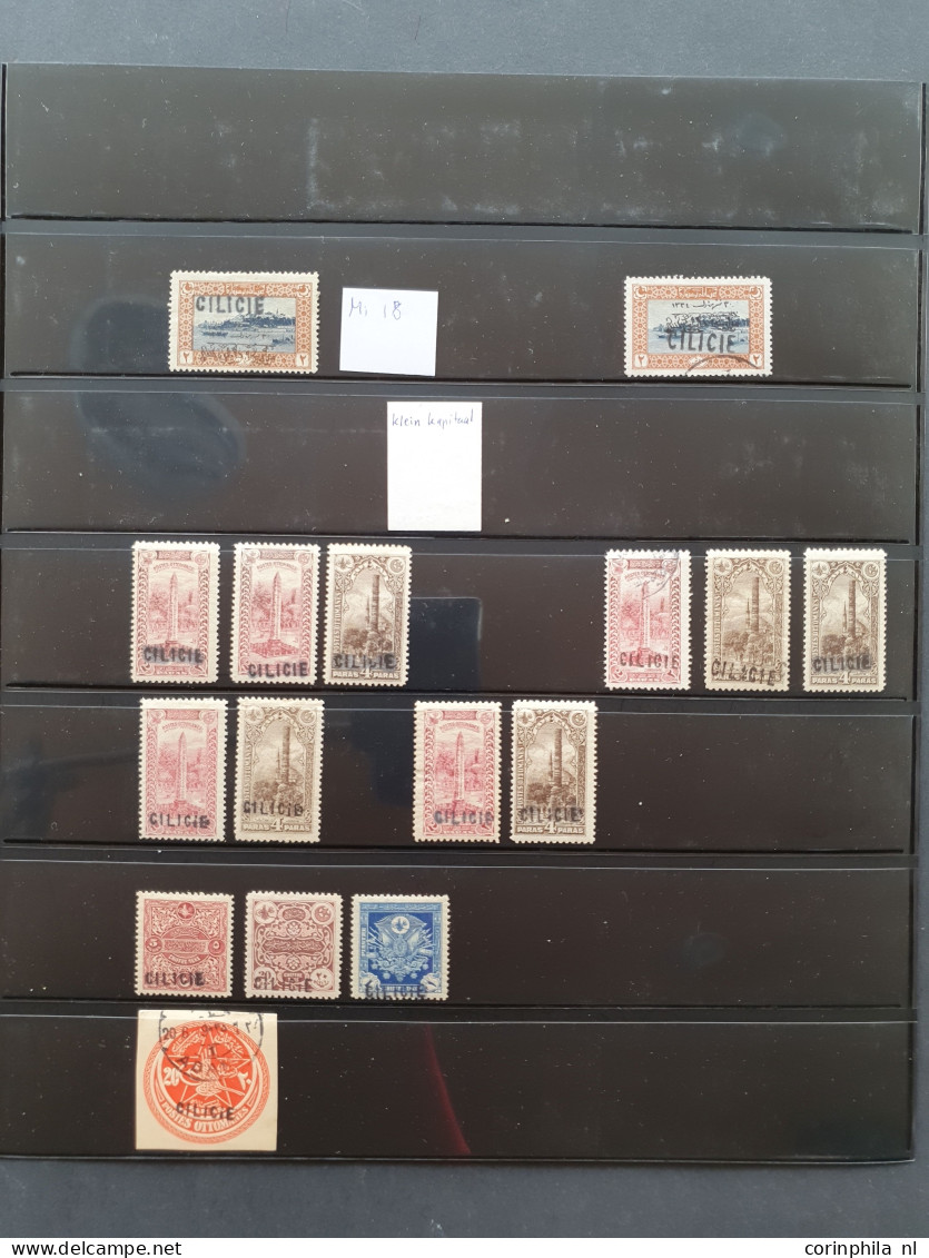 1919-1921, Specialized Collection Used And */** Including Better Stamps And Overprint Varieties In Ring Binder           - Altri & Non Classificati