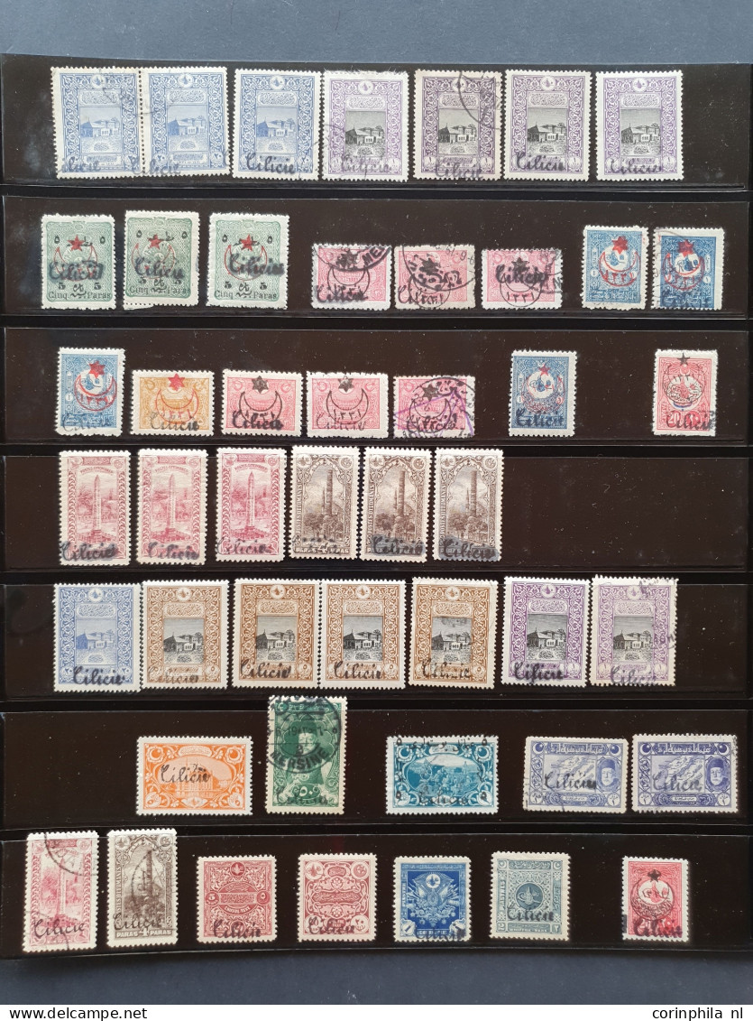 1919-1921, Specialized Collection Used And */** Including Better Stamps And Overprint Varieties In Ring Binder           - Sonstige & Ohne Zuordnung