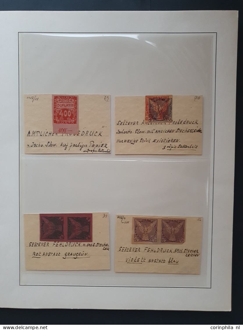 1918 Onwards, Collection Proofs, Imperfs And Errors Including Croatia, Slovakia And Bosnia On Album Pages In Folder - Otros & Sin Clasificación