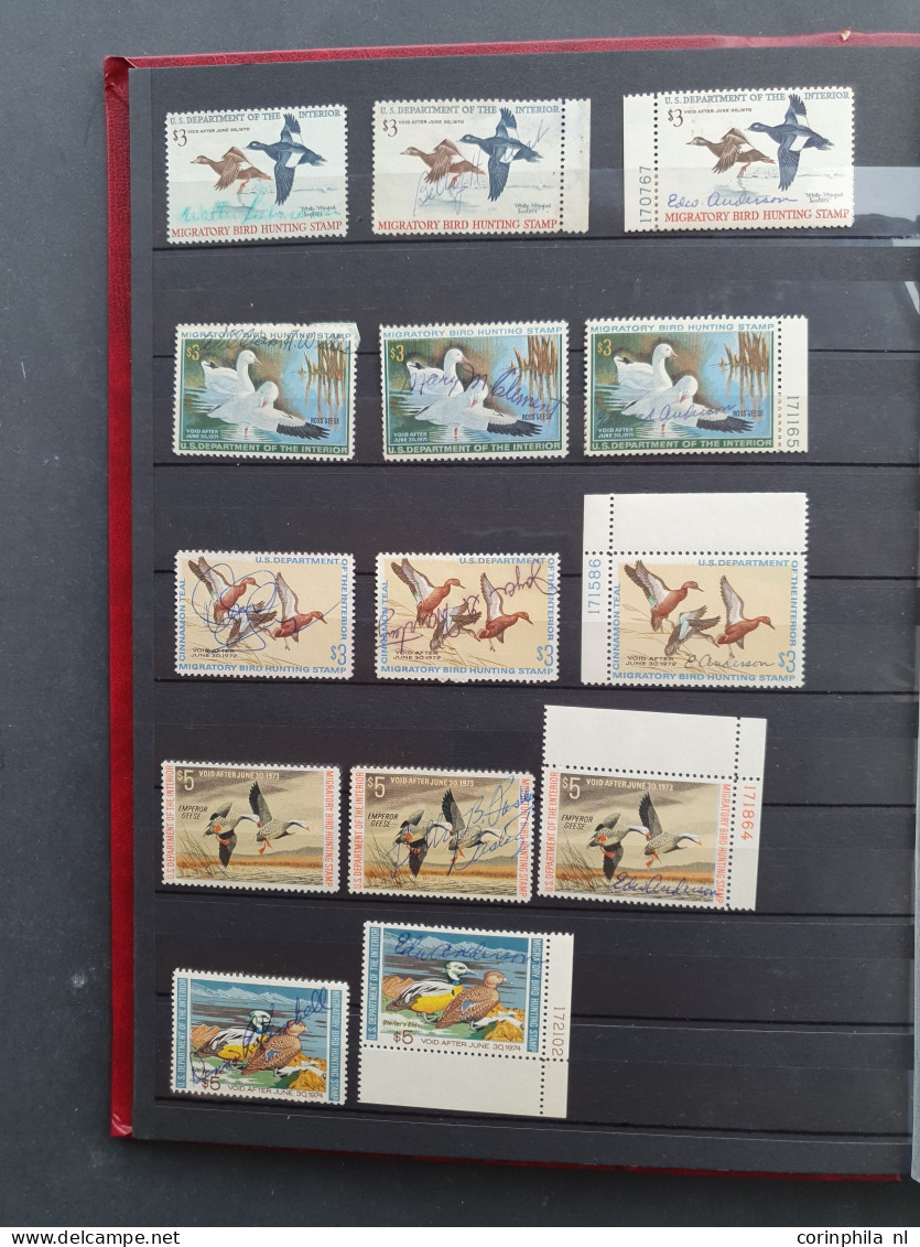 1934/2007 onwards Duckstamps collection with about approx. 200 stamps used, (*) and some */** and approx. 60 Migratory B