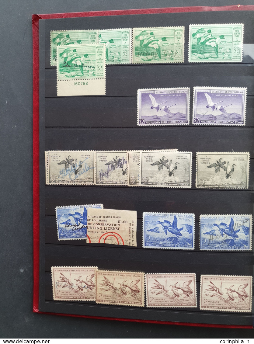 1934/2007 onwards Duckstamps collection with about approx. 200 stamps used, (*) and some */** and approx. 60 Migratory B