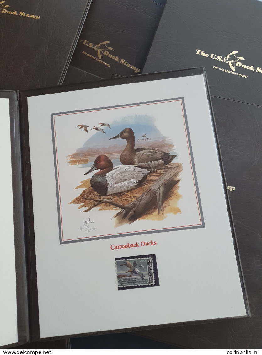 1980/1991 collection Duckstamps with ** stamps, fdc's etc. in approx 30 presentation packs, 2 albums in box