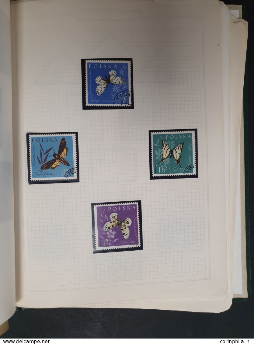 1915c./1995 collection Birds, nicely arranged collection with a large number of mostly ** sets and miniature sheets with