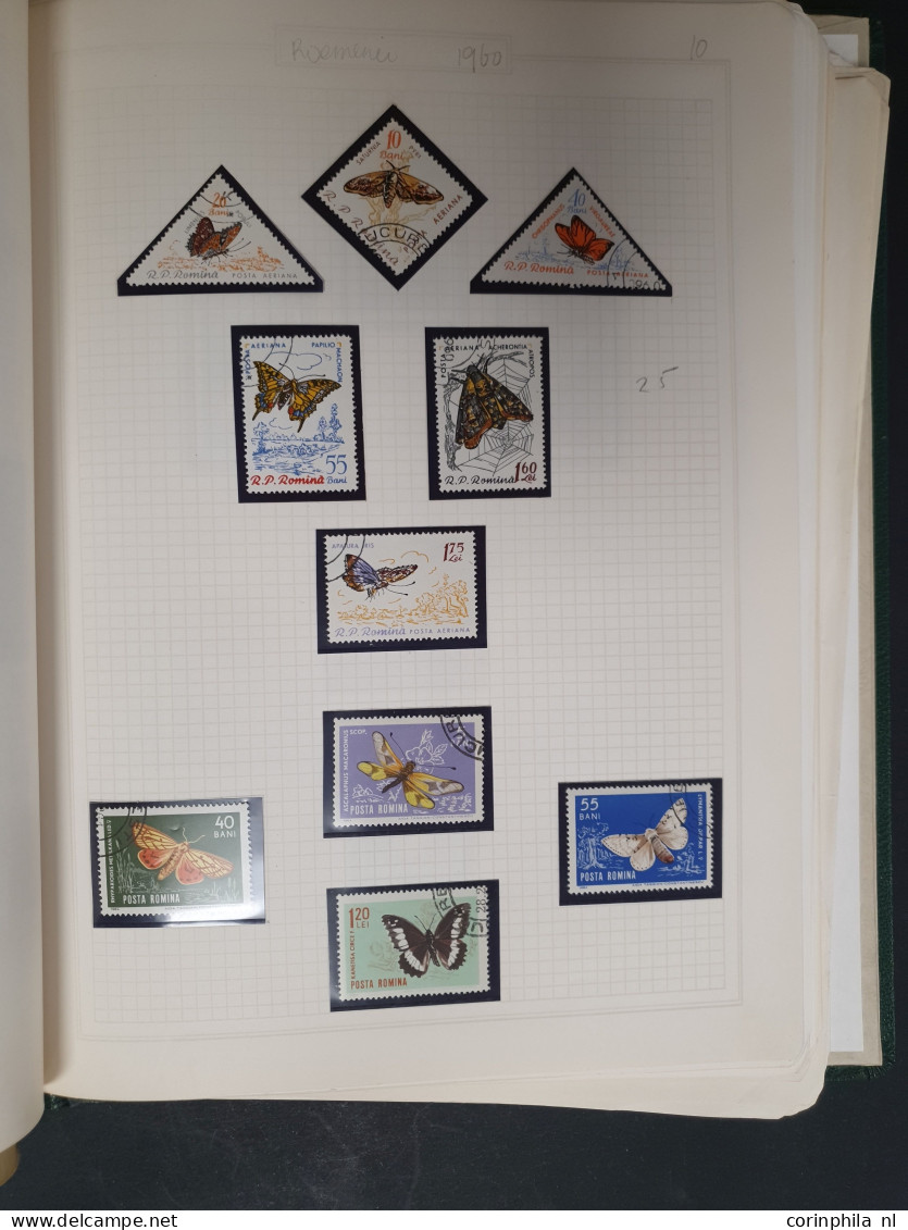 1915c./1995 collection Birds, nicely arranged collection with a large number of mostly ** sets and miniature sheets with