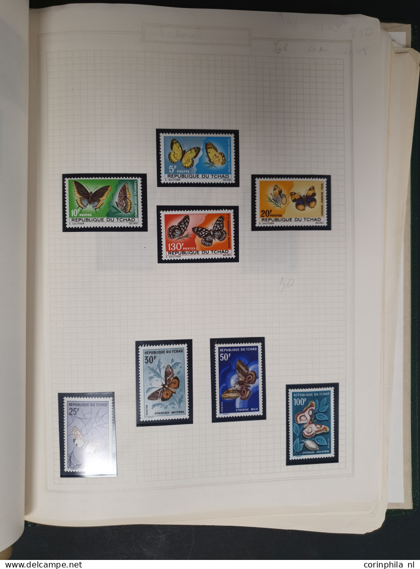 1915c./1995 collection Birds, nicely arranged collection with a large number of mostly ** sets and miniature sheets with