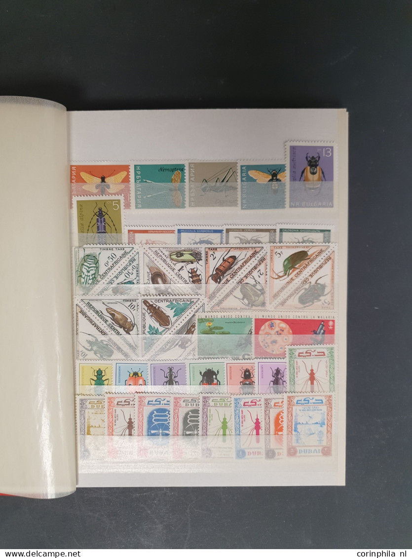 1915c./1995 collection Birds, nicely arranged collection with a large number of mostly ** sets and miniature sheets with