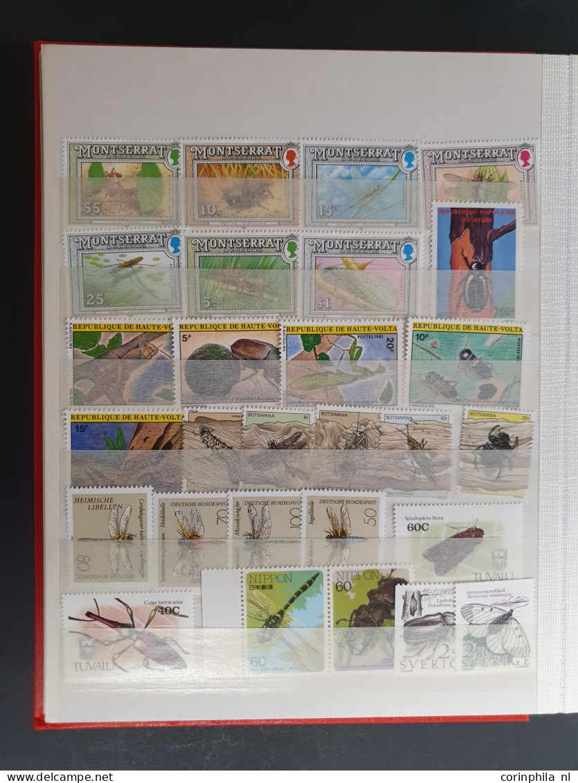 1915c./1995 collection Birds, nicely arranged collection with a large number of mostly ** sets and miniature sheets with