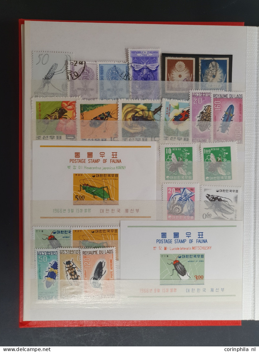 1915c./1995 collection Birds, nicely arranged collection with a large number of mostly ** sets and miniature sheets with