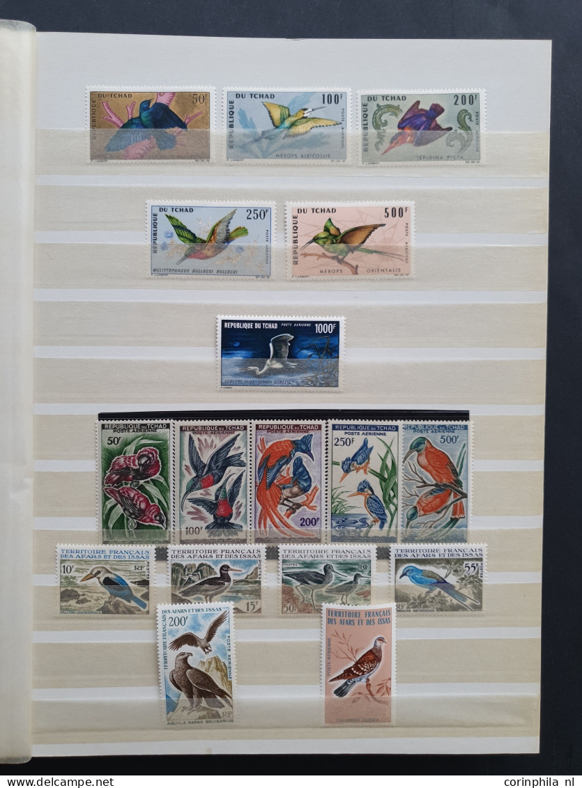 1915c./1995 collection insects and butterflies, nicely arranged collection with a large number of mostly ** sets and min