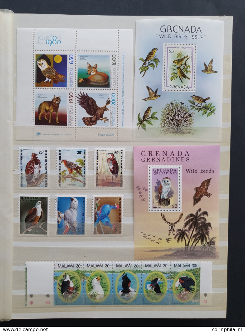 1915c./1995 collection insects and butterflies, nicely arranged collection with a large number of mostly ** sets and min