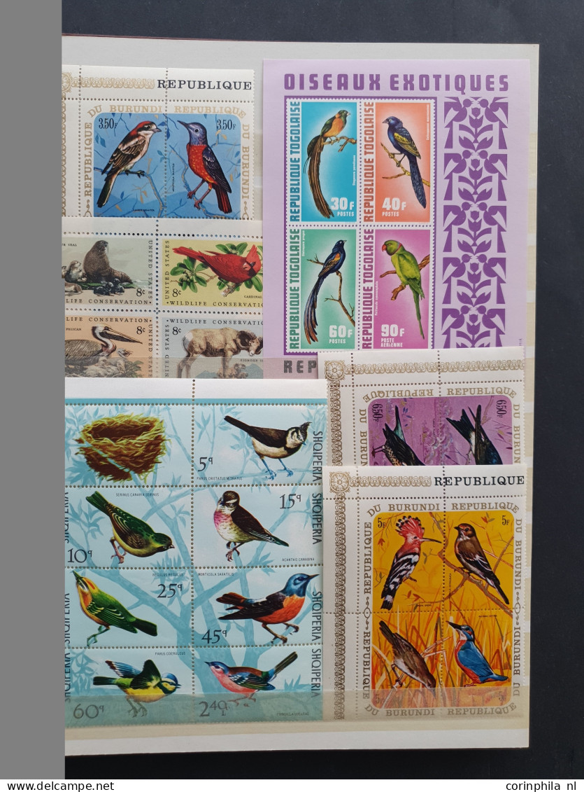 1915c./1995 collection insects and butterflies, nicely arranged collection with a large number of mostly ** sets and min