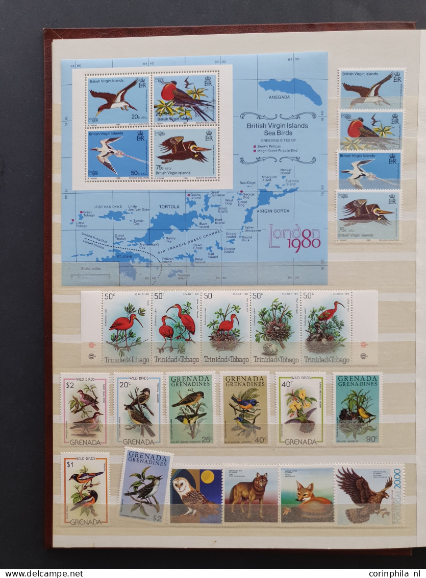 1915c./1995 collection insects and butterflies, nicely arranged collection with a large number of mostly ** sets and min