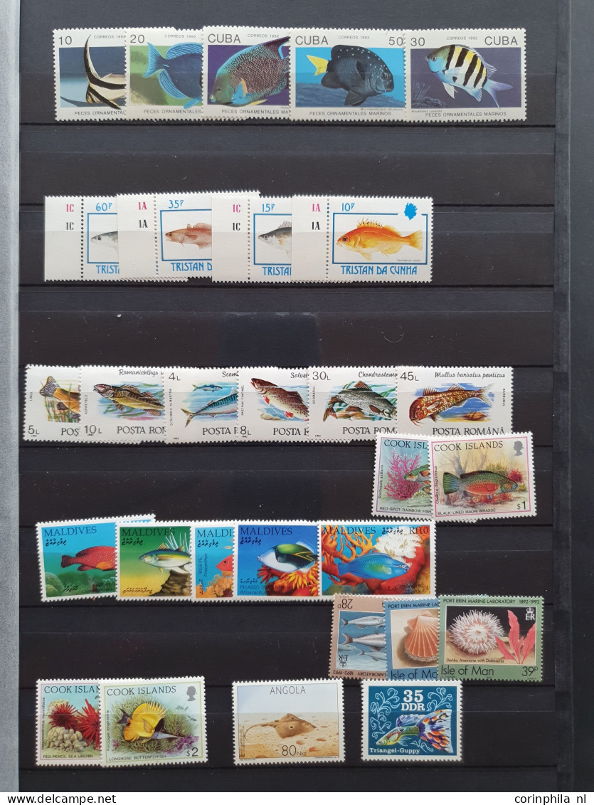 1915c./1995 collection Maritime life, nicely arranged collection with a large number of mostly ** sets and miniature she