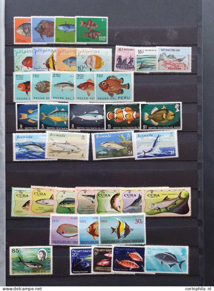 1915c./1995 collection Maritime life, nicely arranged collection with a large number of mostly ** sets and miniature she