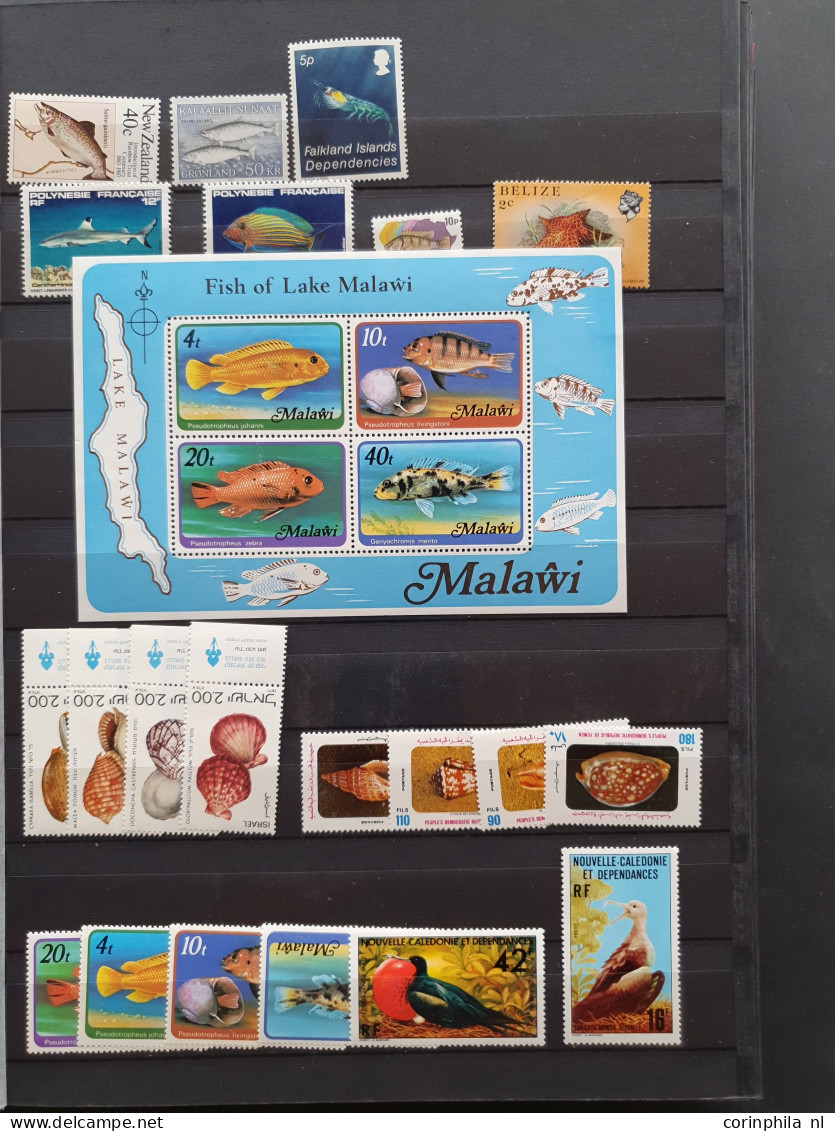 1915c./1995 collection Maritime life, nicely arranged collection with a large number of mostly ** sets and miniature she