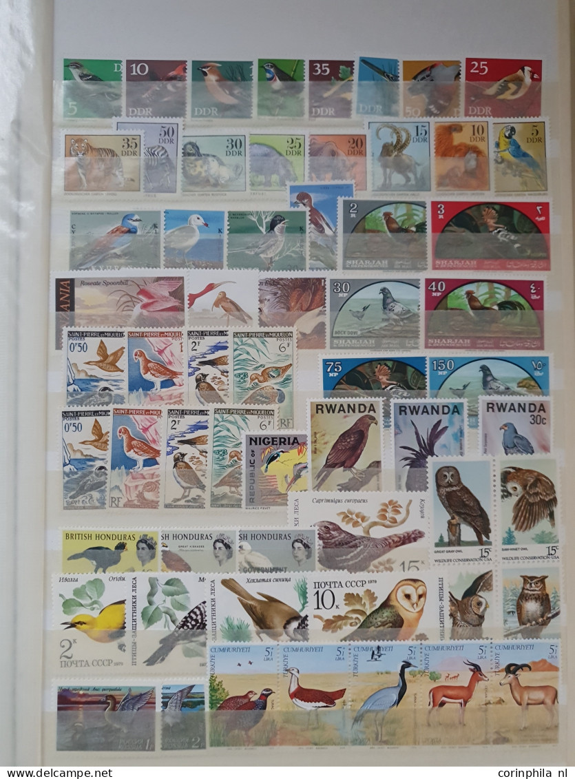 1960 onwards collection Flora and Fauna mainly */** including better sets/miniature sheets in 2 stockbooks