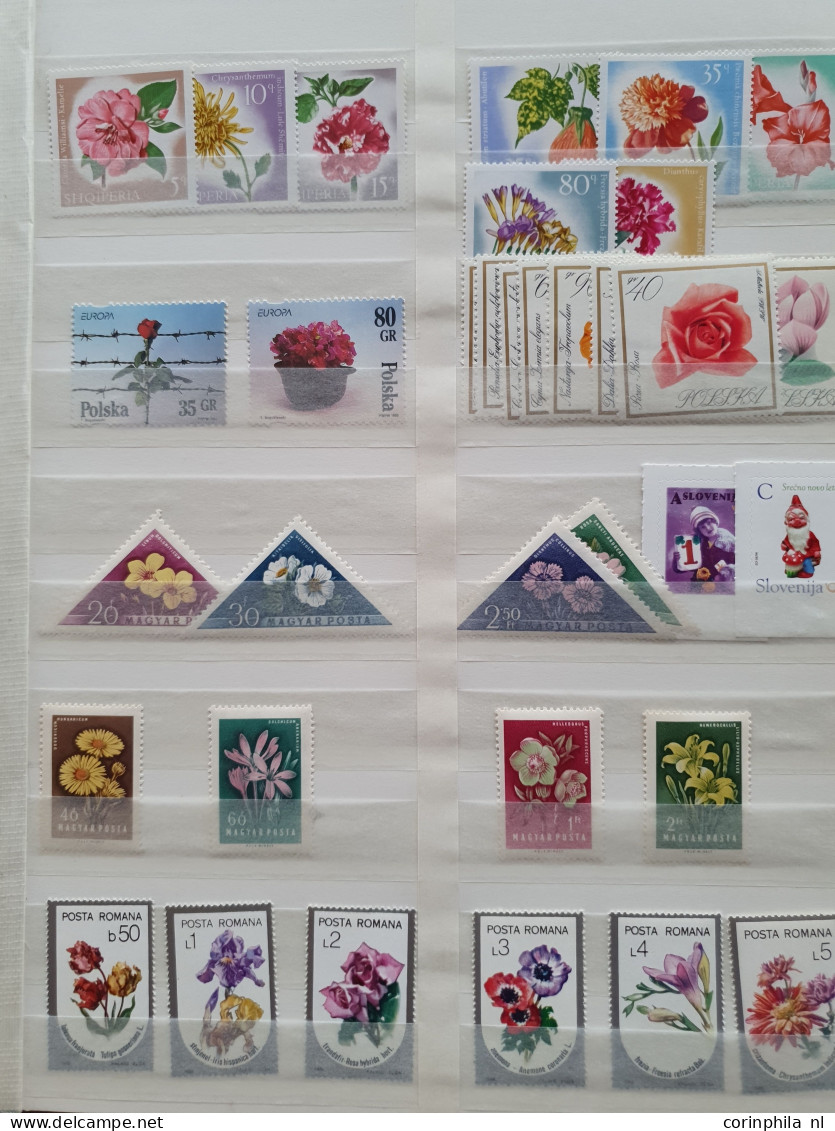 1950-2015 collection Roses (flower) used and */** sorted by country (A-Z) including booklets in 4  stockbooks and 2 enve