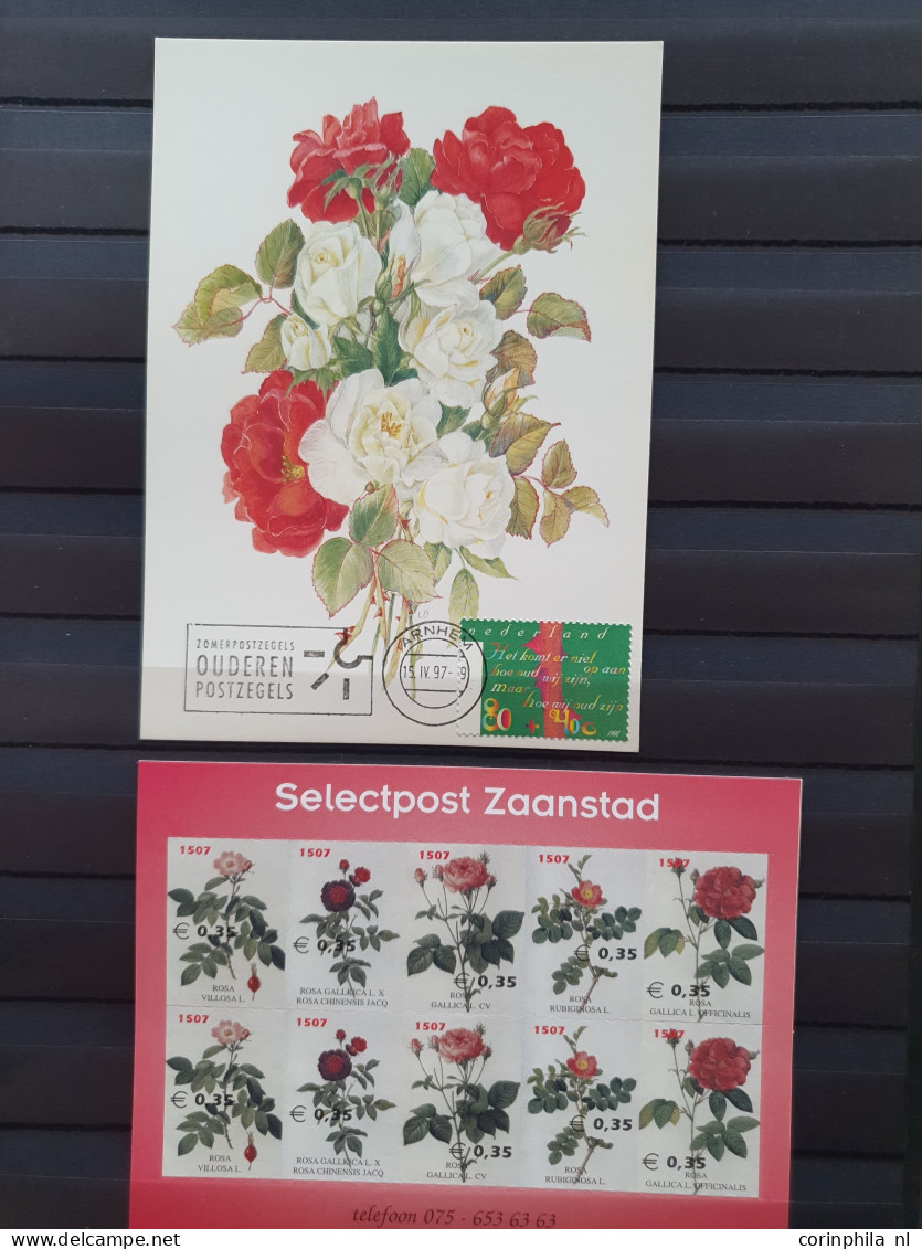 1950-2015 collection Roses (flower) used and */** sorted by country (A-Z) including booklets in 4  stockbooks and 2 enve