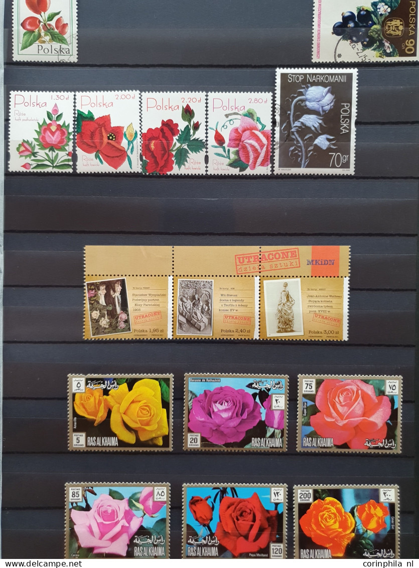 1950-2015 collection Roses (flower) used and */** sorted by country (A-Z) including booklets in 4  stockbooks and 2 enve