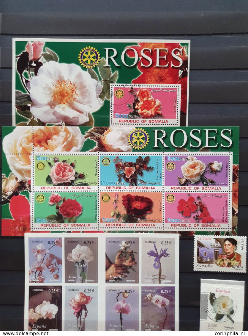 1950-2015 collection Roses (flower) used and */** sorted by country (A-Z) including booklets in 4  stockbooks and 2 enve