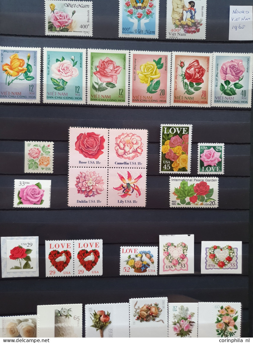 1950-2015 collection Roses (flower) used and */** sorted by country (A-Z) including booklets in 4  stockbooks and 2 enve