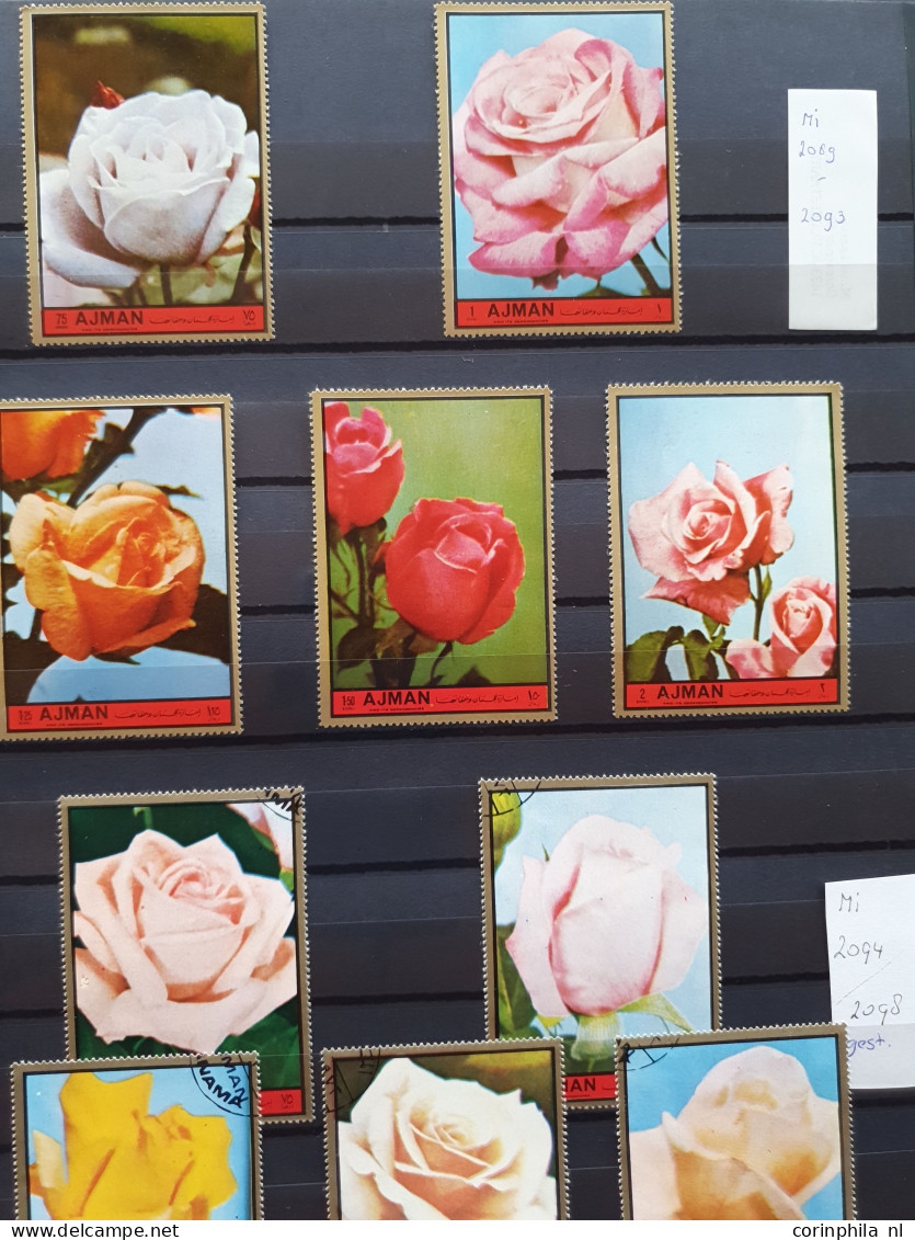 1950-2015 collection Roses (flower) used and */** sorted by country (A-Z) including booklets in 4  stockbooks and 2 enve