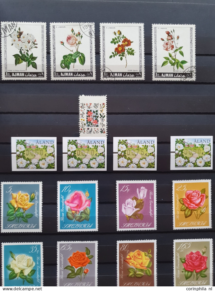 1950-2015 collection Roses (flower) used and */** sorted by country (A-Z) including booklets in 4  stockbooks and 2 enve