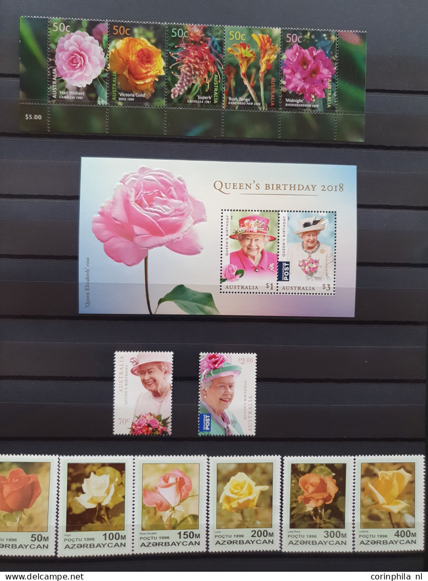 1950-2015 collection Roses (flower) used and */** sorted by country (A-Z) including booklets in 4  stockbooks and 2 enve