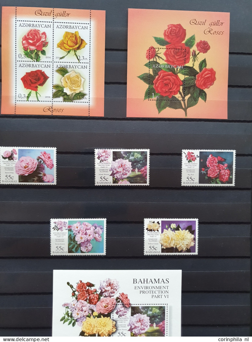 1950-2015 collection Roses (flower) used and */** sorted by country (A-Z) including booklets in 4  stockbooks and 2 enve