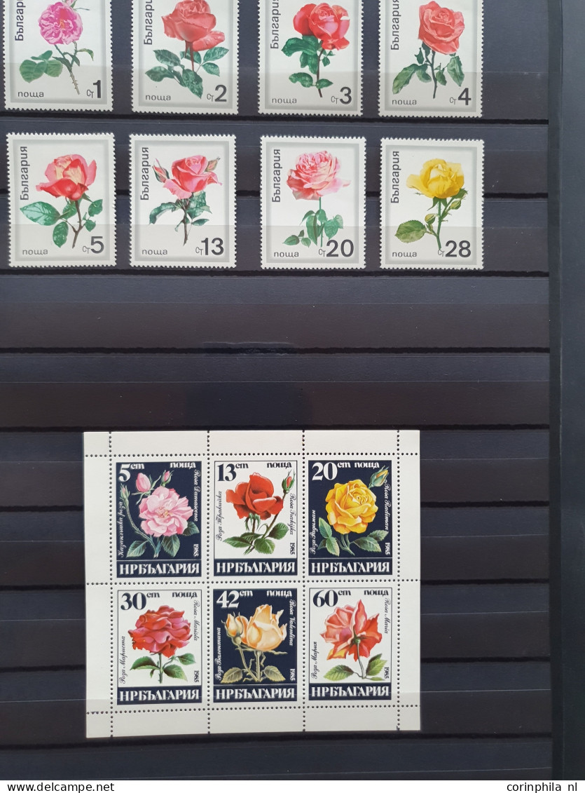 1950-2015 collection Roses (flower) used and */** sorted by country (A-Z) including booklets in 4  stockbooks and 2 enve