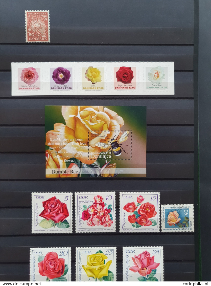 1950-2015 collection Roses (flower) used and */** sorted by country (A-Z) including booklets in 4  stockbooks and 2 enve