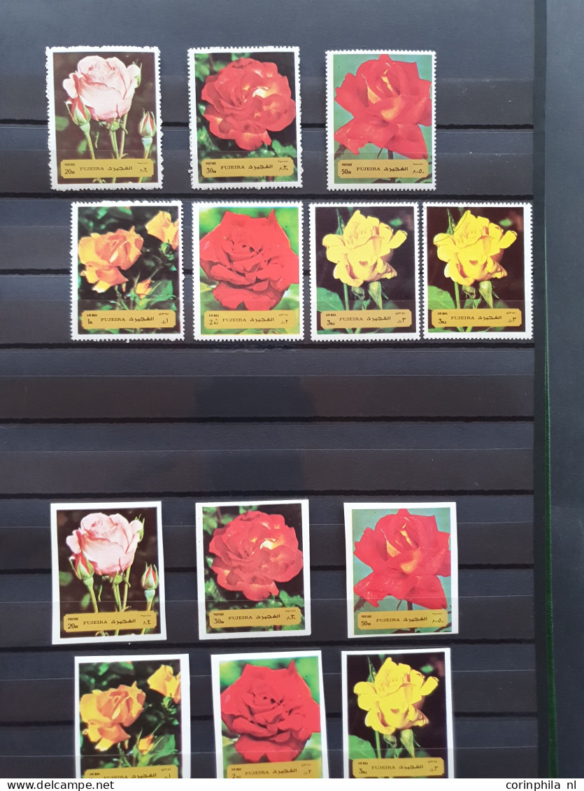 1950-2015 collection Roses (flower) used and */** sorted by country (A-Z) including booklets in 4  stockbooks and 2 enve