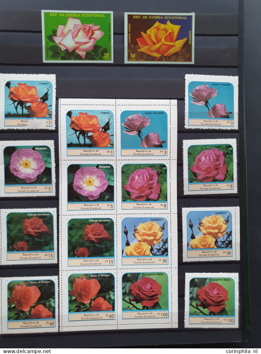 1950-2015 collection Roses (flower) used and */** sorted by country (A-Z) including booklets in 4  stockbooks and 2 enve