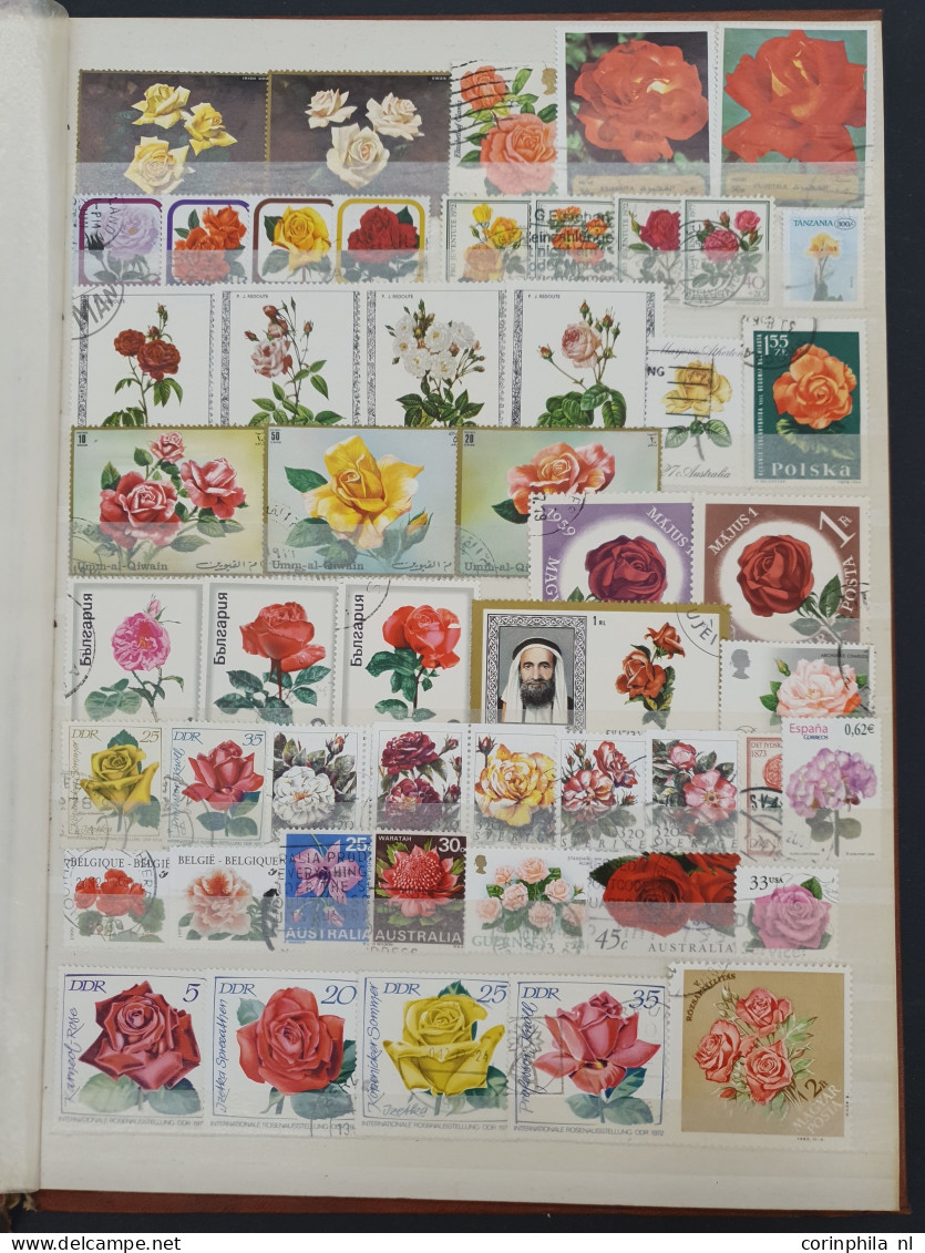 1860/2015 stock with a large number of classical stamps in well-filled stockbooks and on album pages including China, Ja