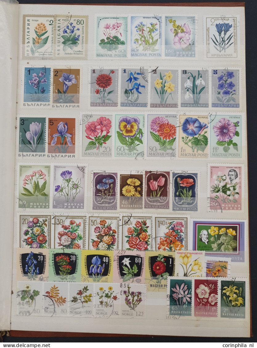 1860/2015 stock with a large number of classical stamps in well-filled stockbooks and on album pages including China, Ja