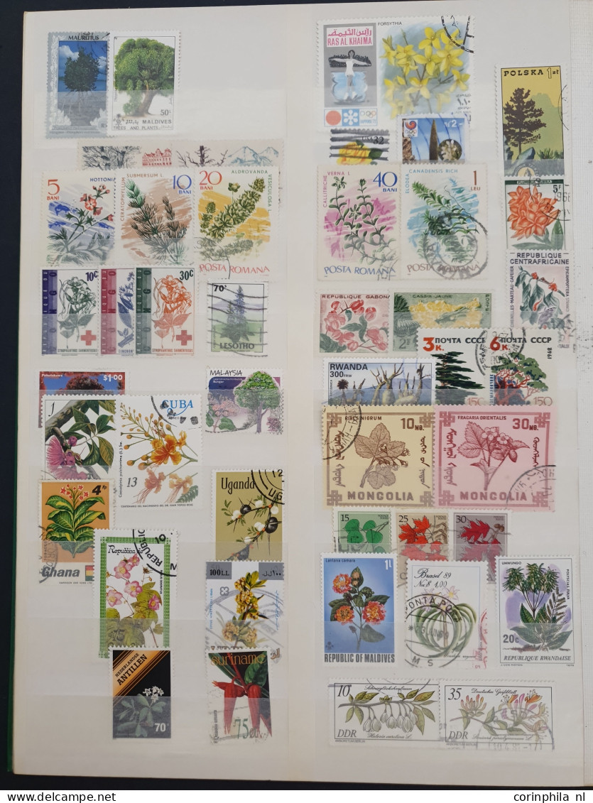 1860/2015 stock with a large number of classical stamps in well-filled stockbooks and on album pages including China, Ja